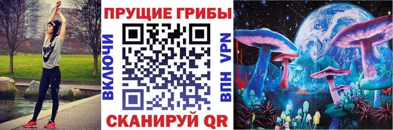 купить  цена  Дмитров  Псилоцибиновые грибы мухоморы 