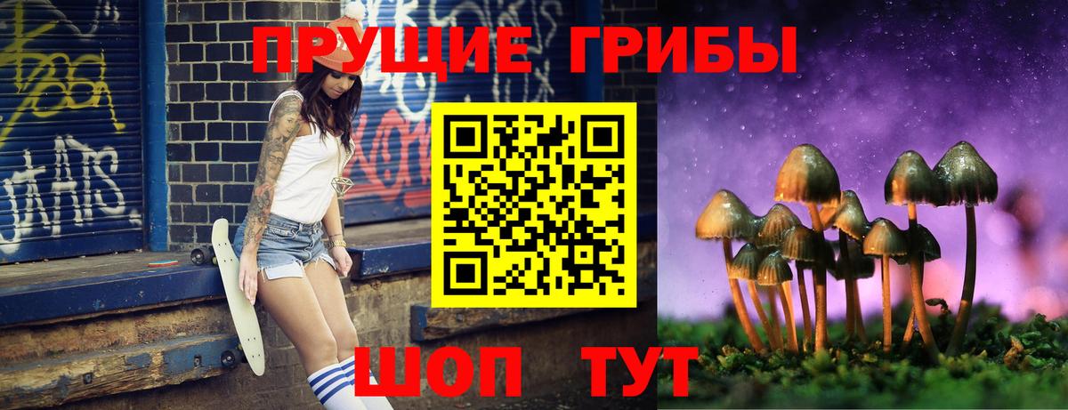 Дмитров  Псилоцибиновые грибы Psilocybe  Вход с VPN 