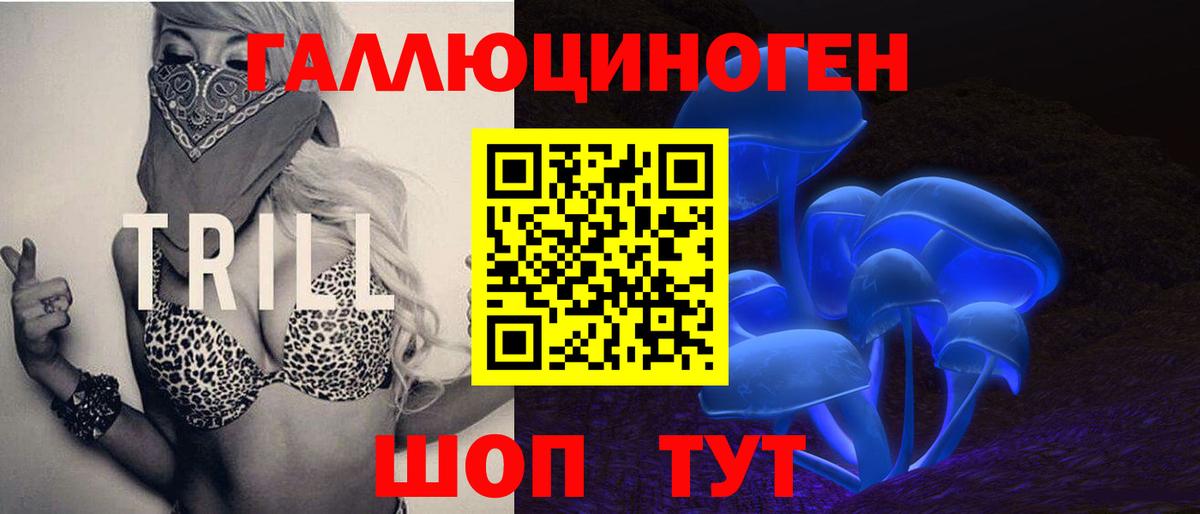 Псилоцибиновые грибы мицелий Дмитров